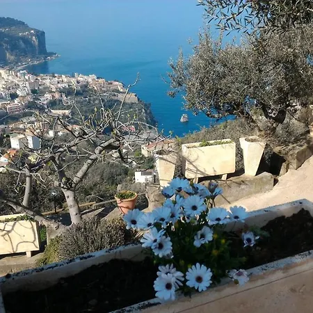 بيت للعطل Paradise *