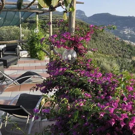 Paradise Vico Equense